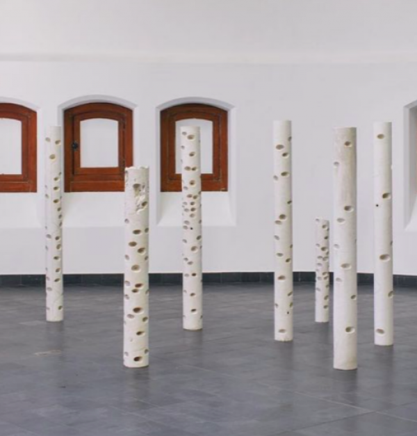 Heide Hinrichs - ringing critical forests